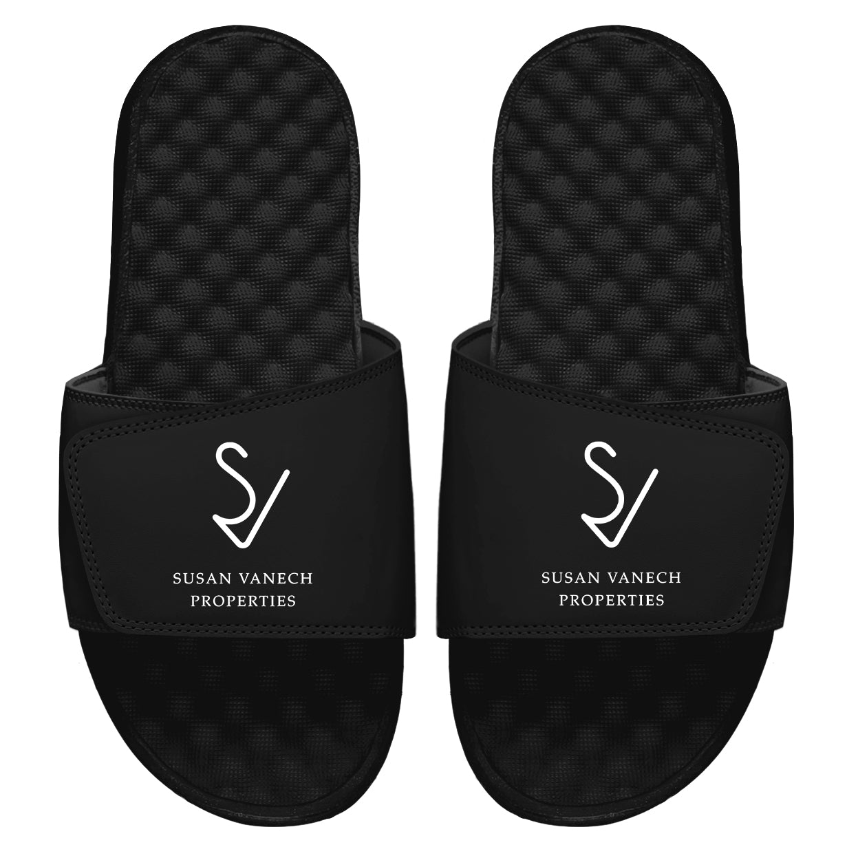 Susan Vanech Properties Slides