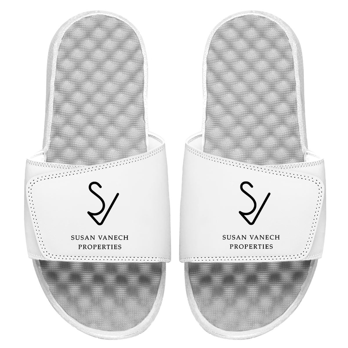 Susan Vanech Properties Slides