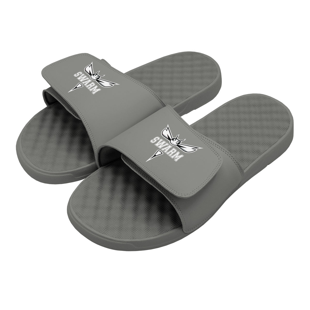 Swarm Slides