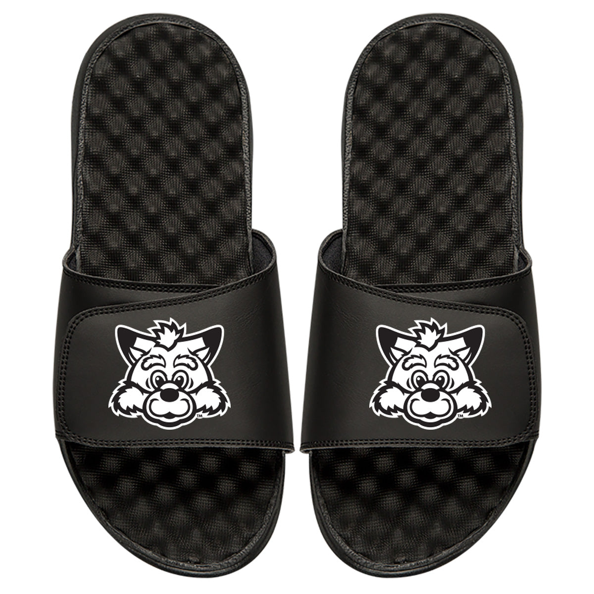 Indiana State Sycamore Sam Head - ISlide