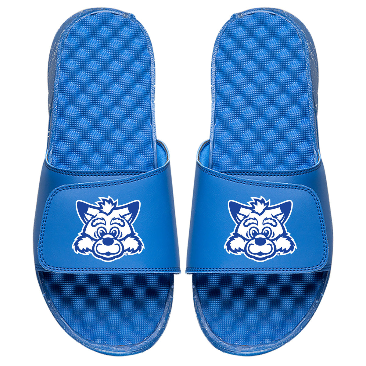 Indiana State Sycamore Sam Head - ISlide