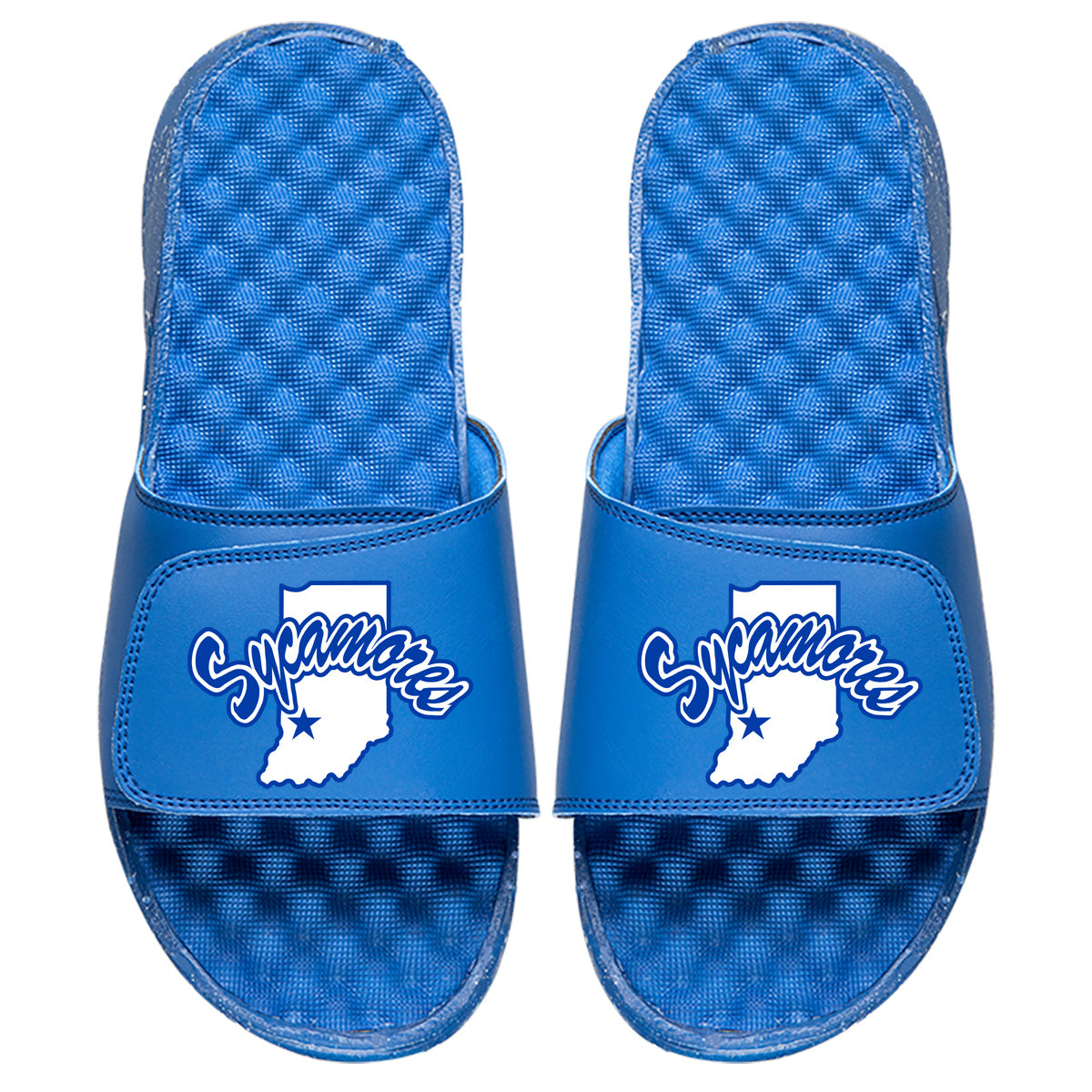 Indiana State Primary - ISlide