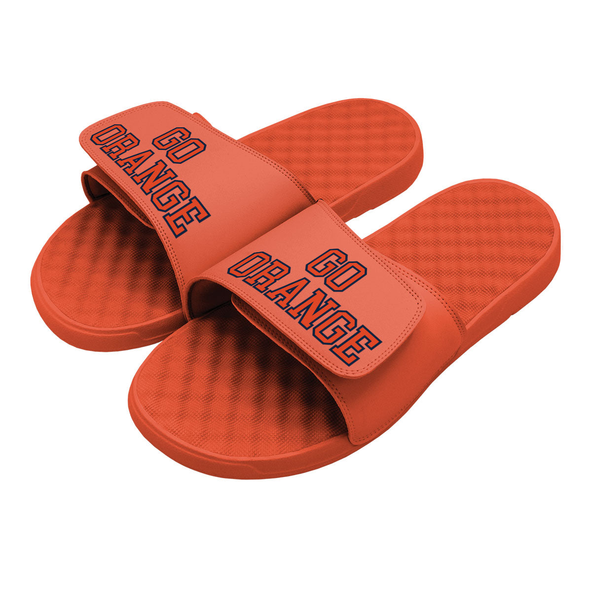 Syracuse Go Orange Slides