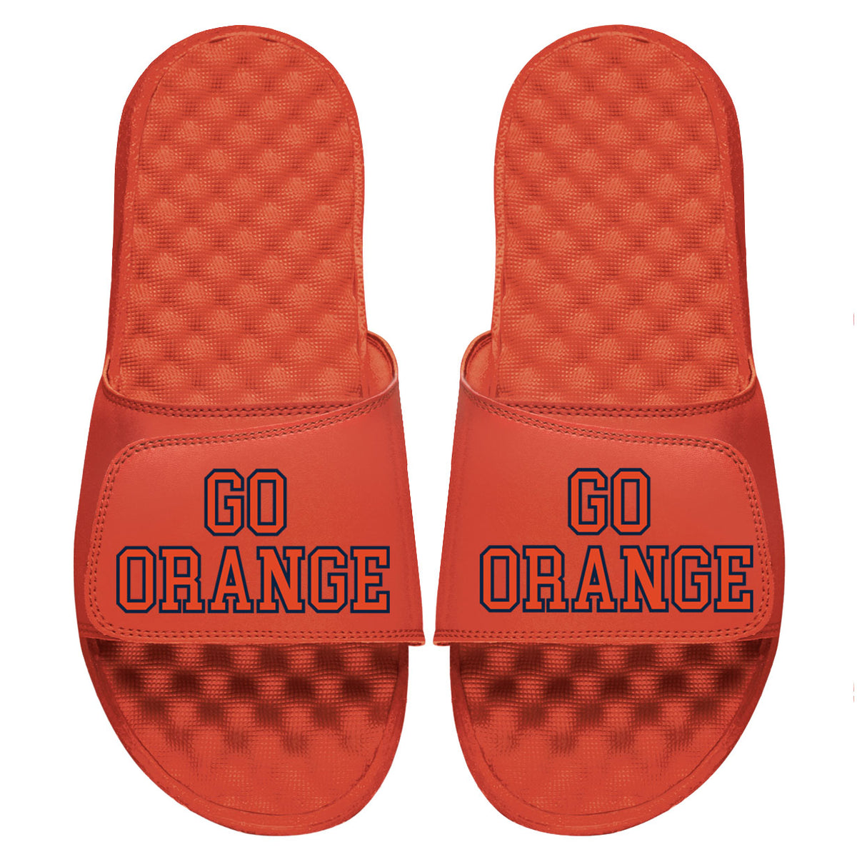 Syracuse Go Orange Slides