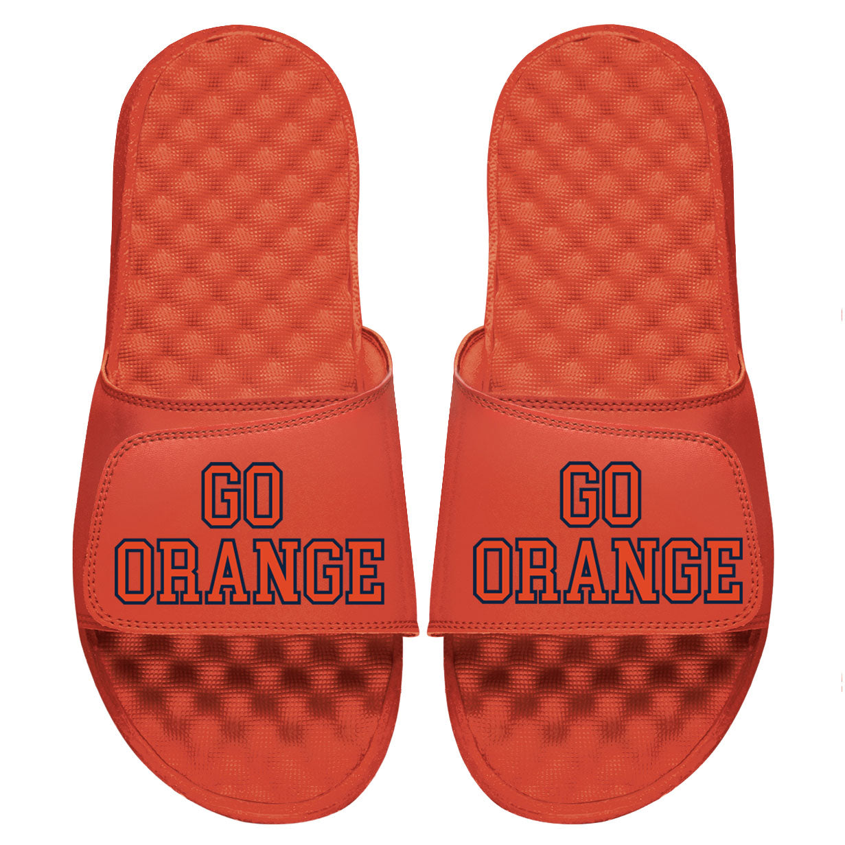 Syracuse Go Orange Slides