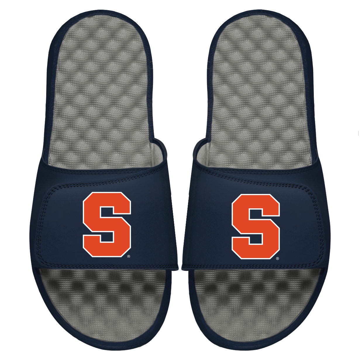 Syracuse Primary S Logo Slides
