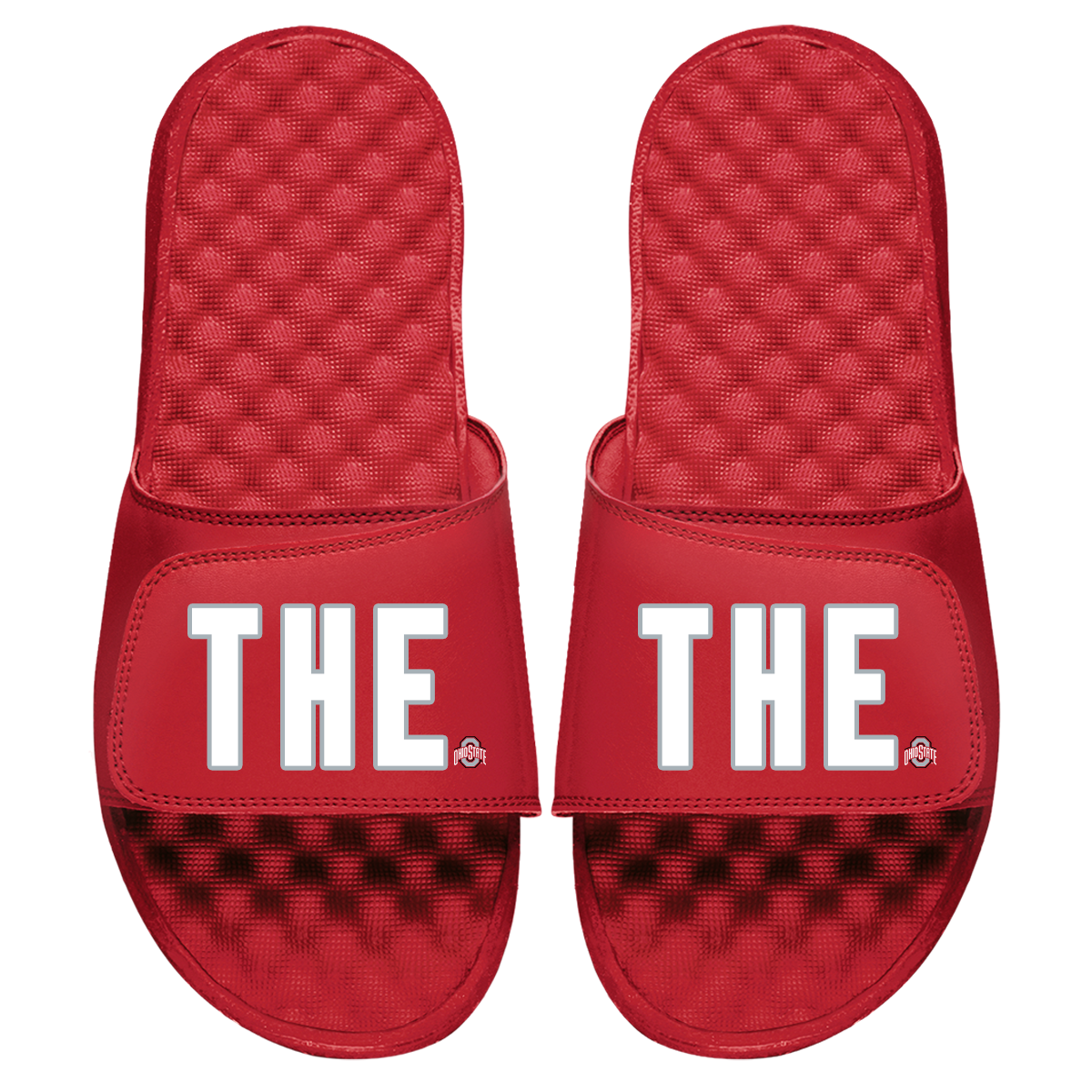 THE Ohio State Slides