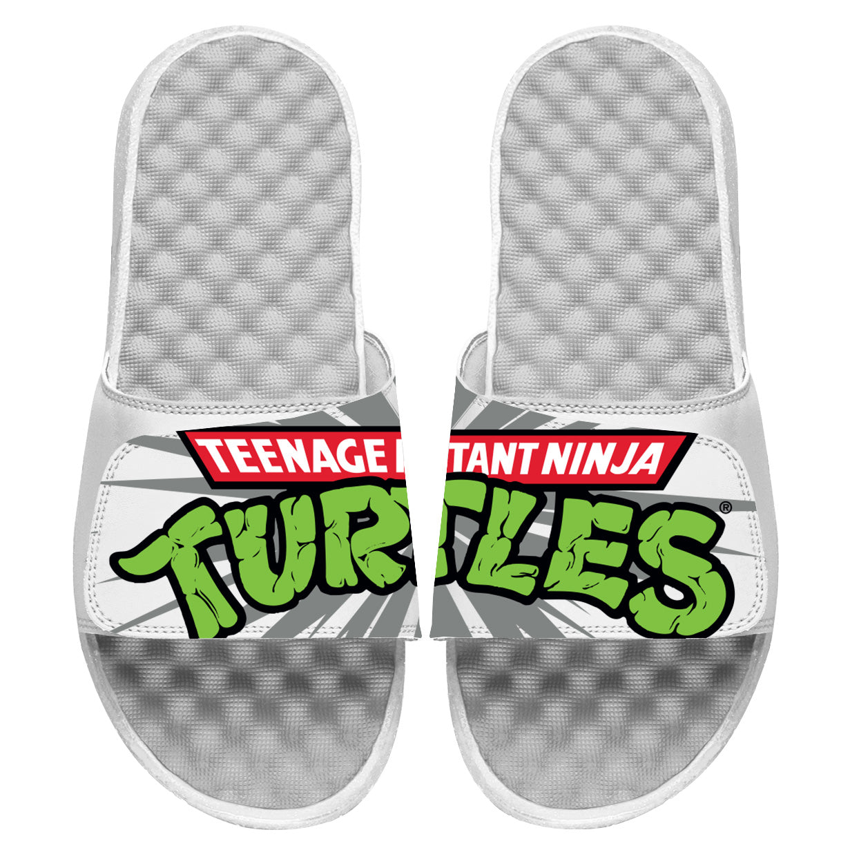 TMNT Logo Slides