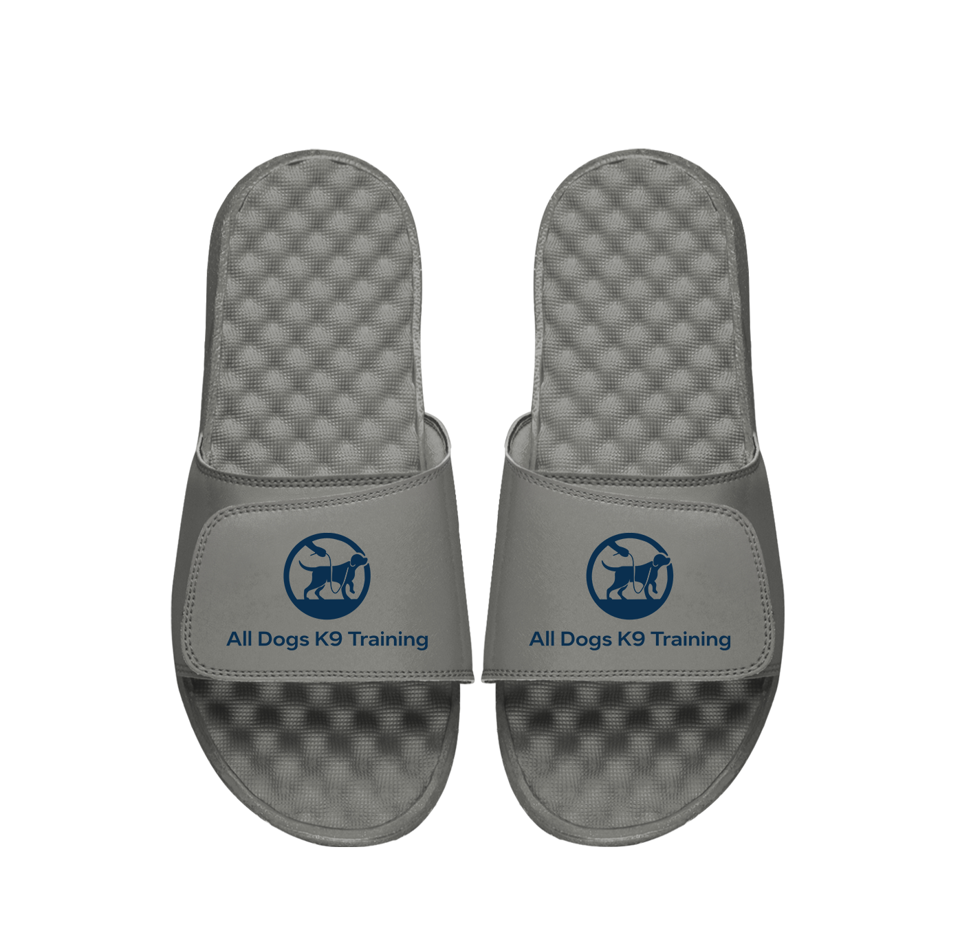 All Dogs K9 Training Primary PERSONALIZE Slides