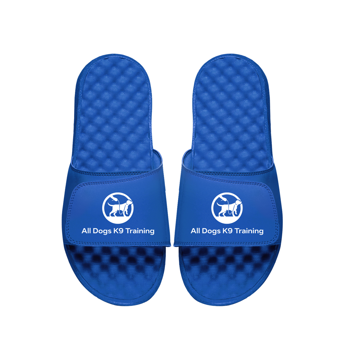 All Dogs K9 Training Primary PERSONALIZE Slides