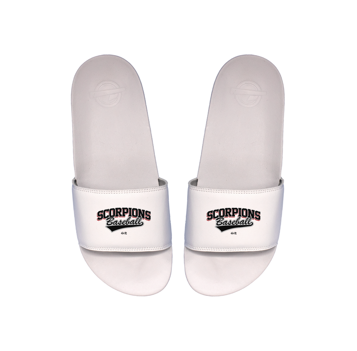 Scorpions Baseball Primary Motto Slides