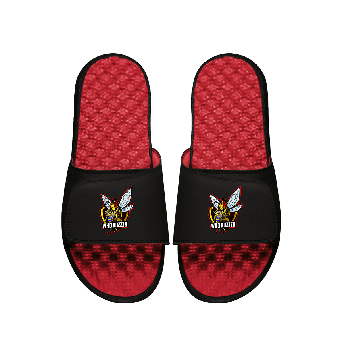 Whobuzzzn Primary PERSONALIZE Slides