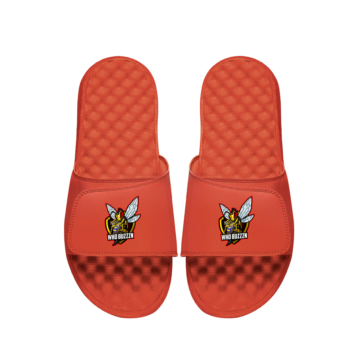 Whobuzzzn Primary PERSONALIZE Slides
