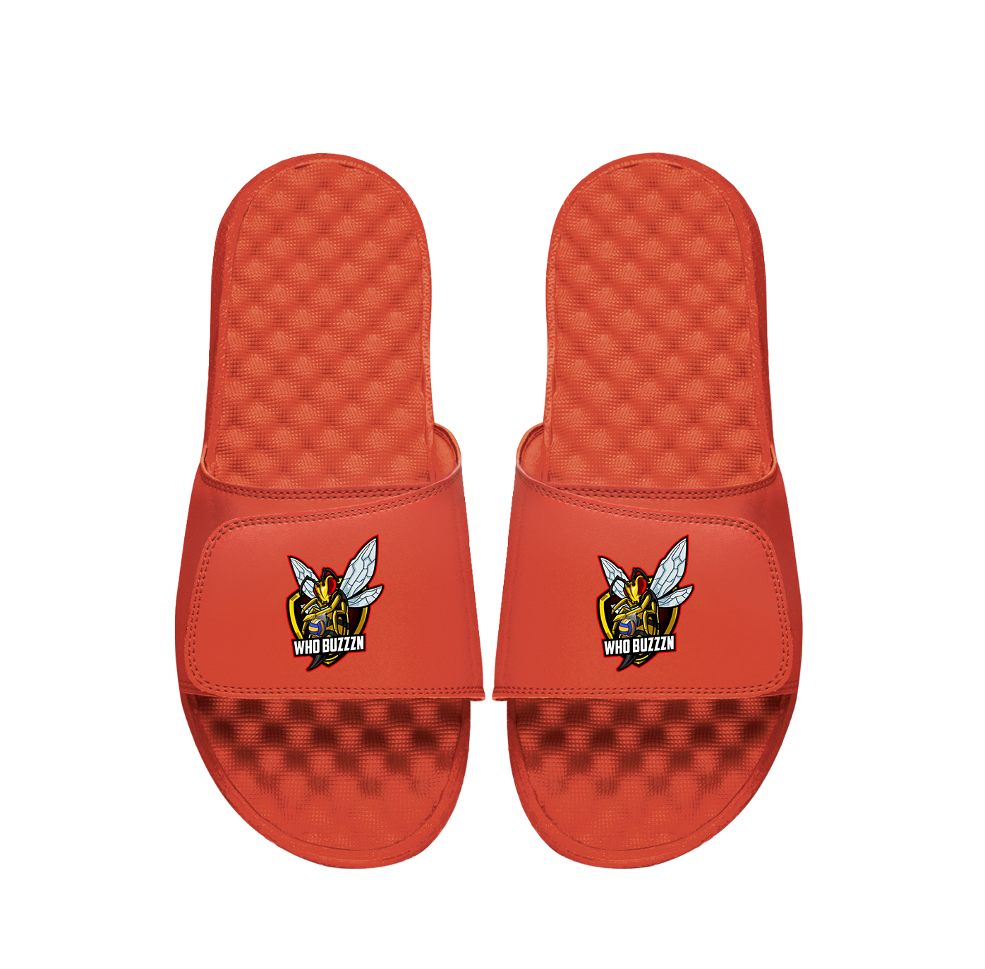 Whobuzzzn Primary PERSONALIZE Slides