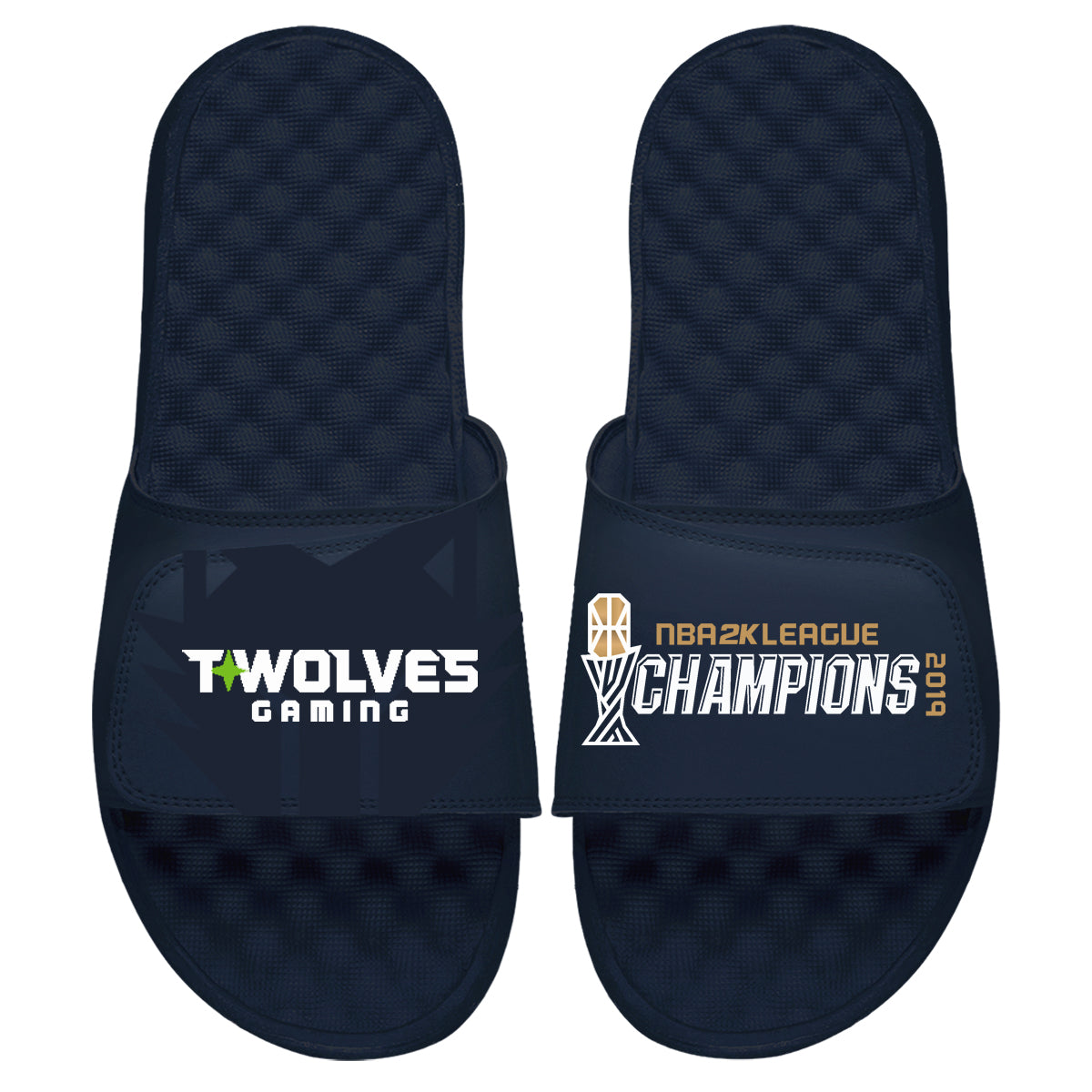 T-Wolves Gaming Champs Slides