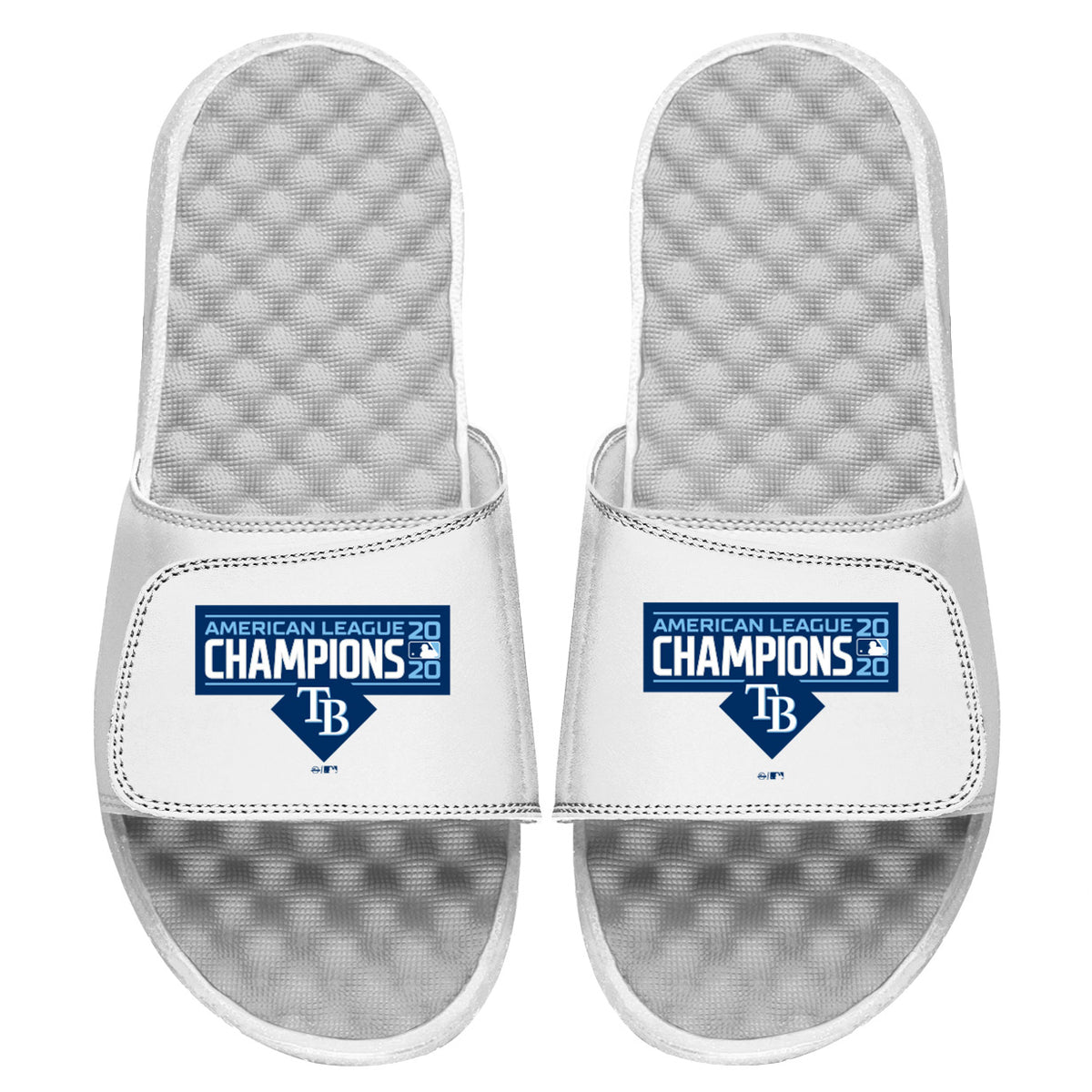 Tampa Bay Rays AL Champs Slides