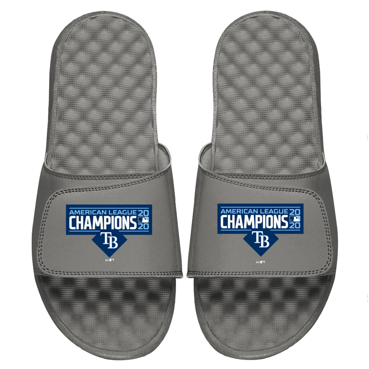 Tampa Bay Rays AL Champs Slides
