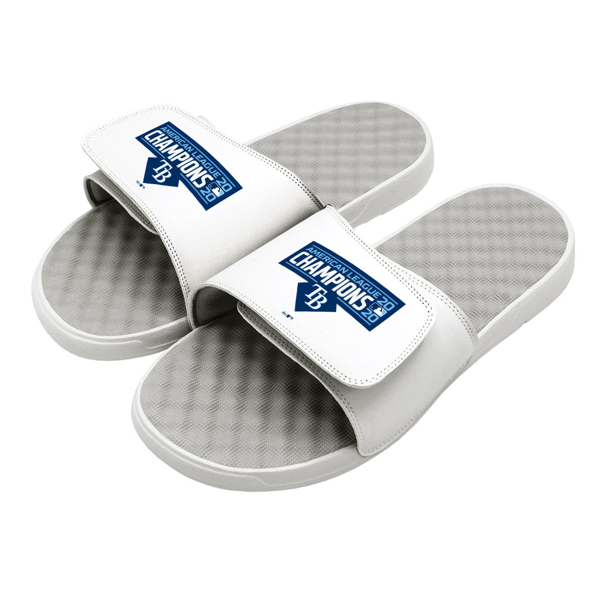 Tampa Bay Rays AL Champs Slides