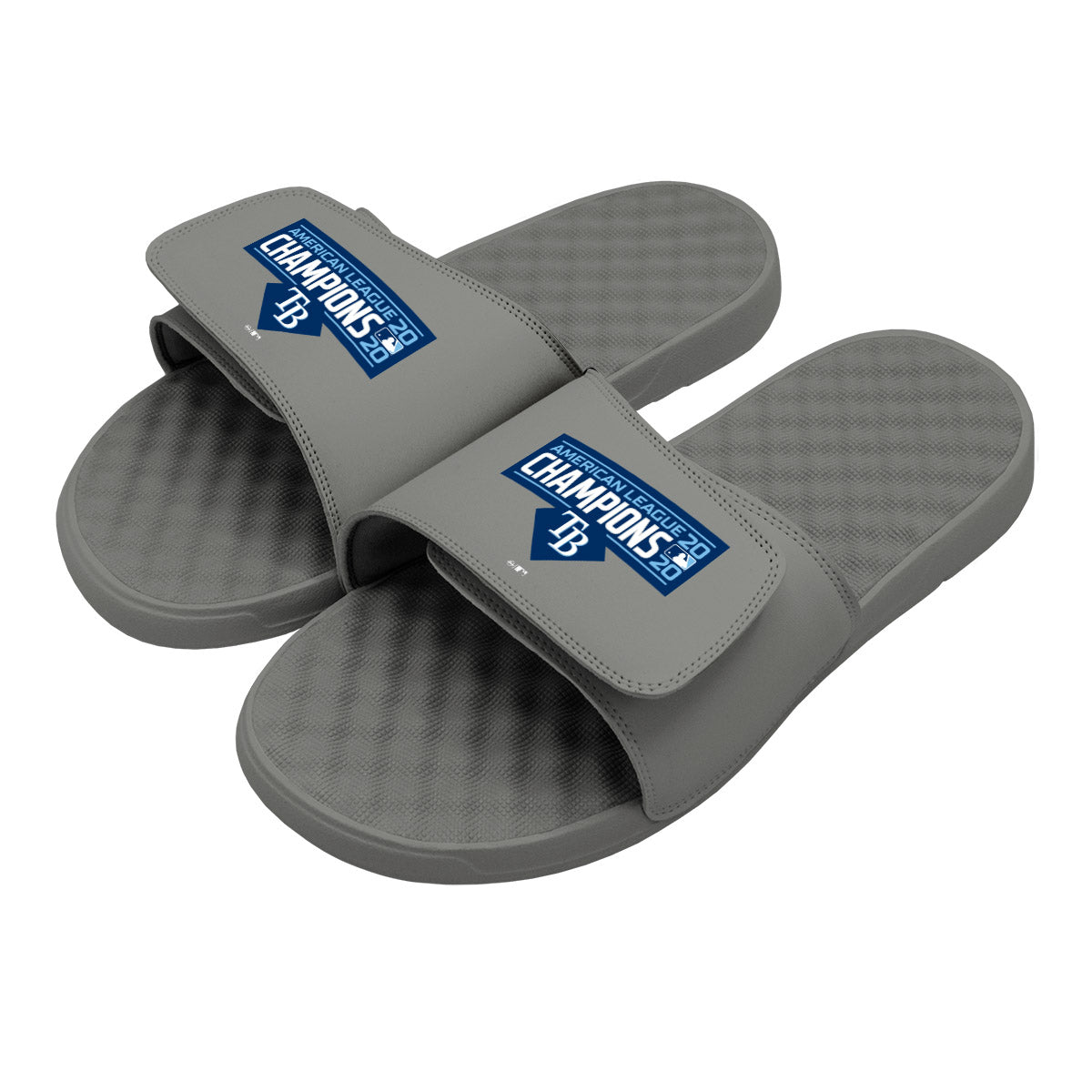 Tampa Bay Rays AL Champs Slides