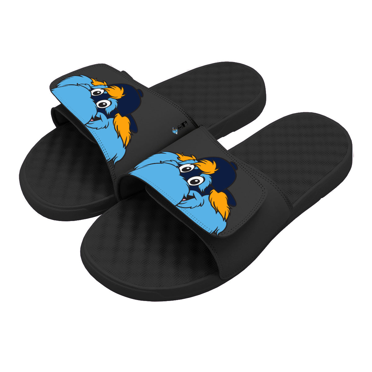 Tampa Bay Rays Mascot Slides