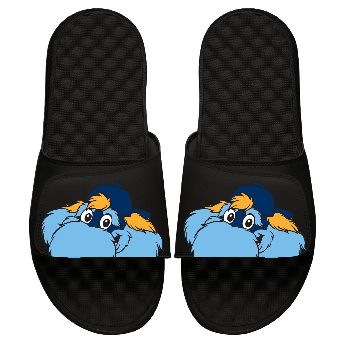 Tampa Bay Rays Mascot Slides
