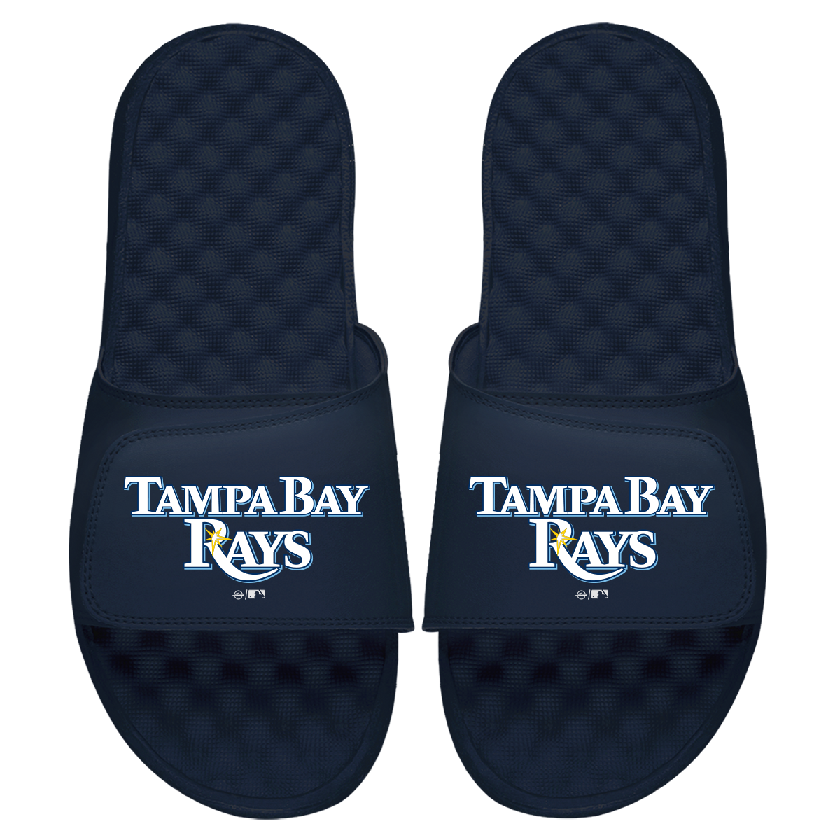 Tampa Bay Rays Wordmark Slides