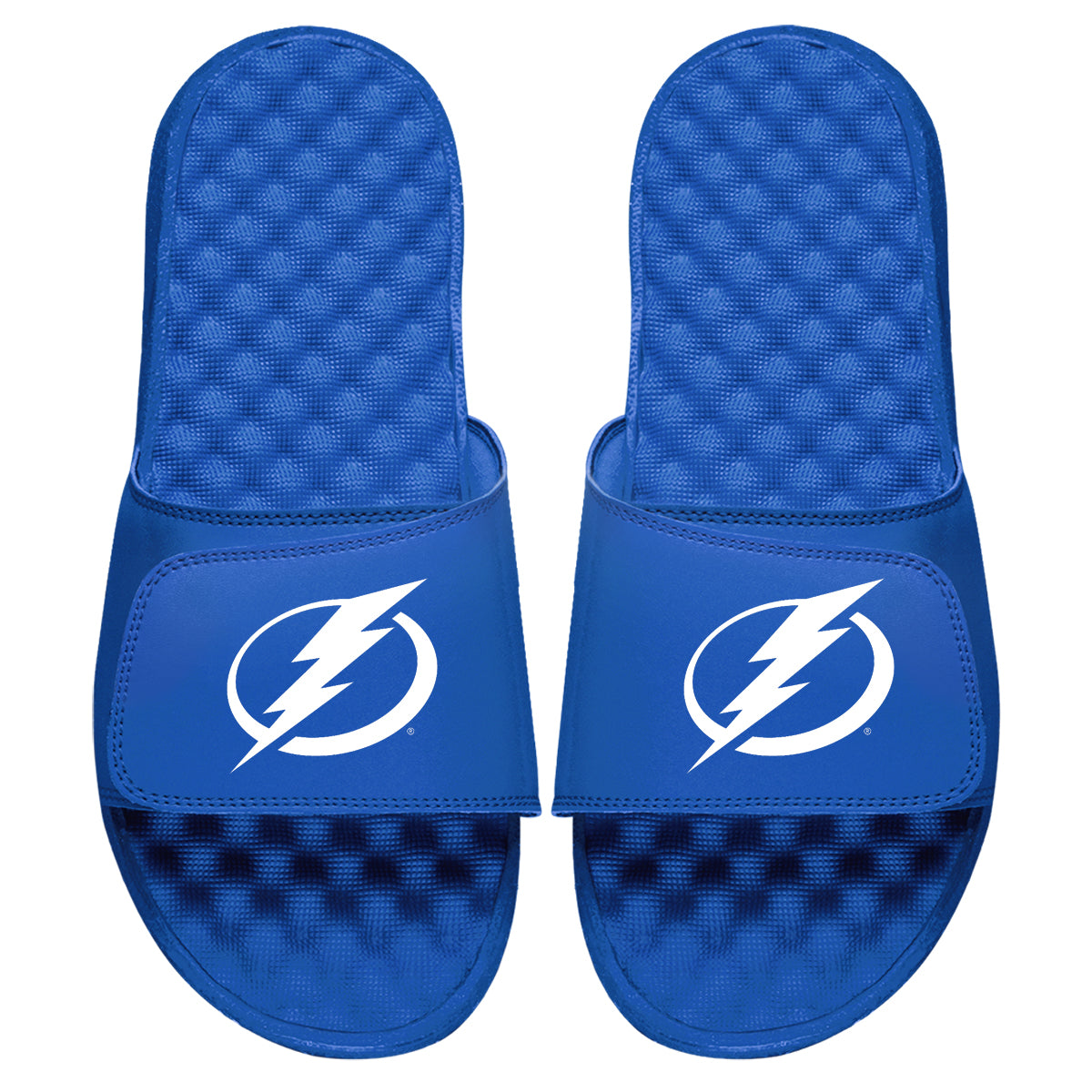Tampa Bay Lightning Primary Slides