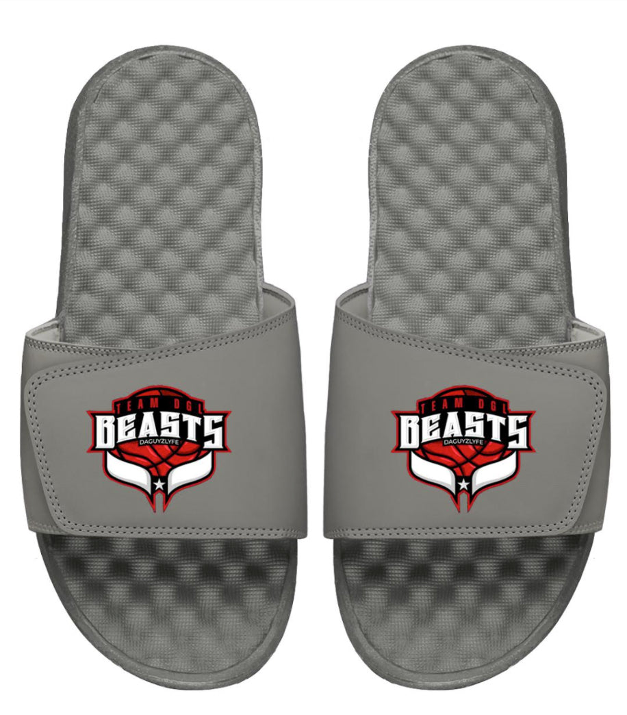 Team DGL Beasts Slides