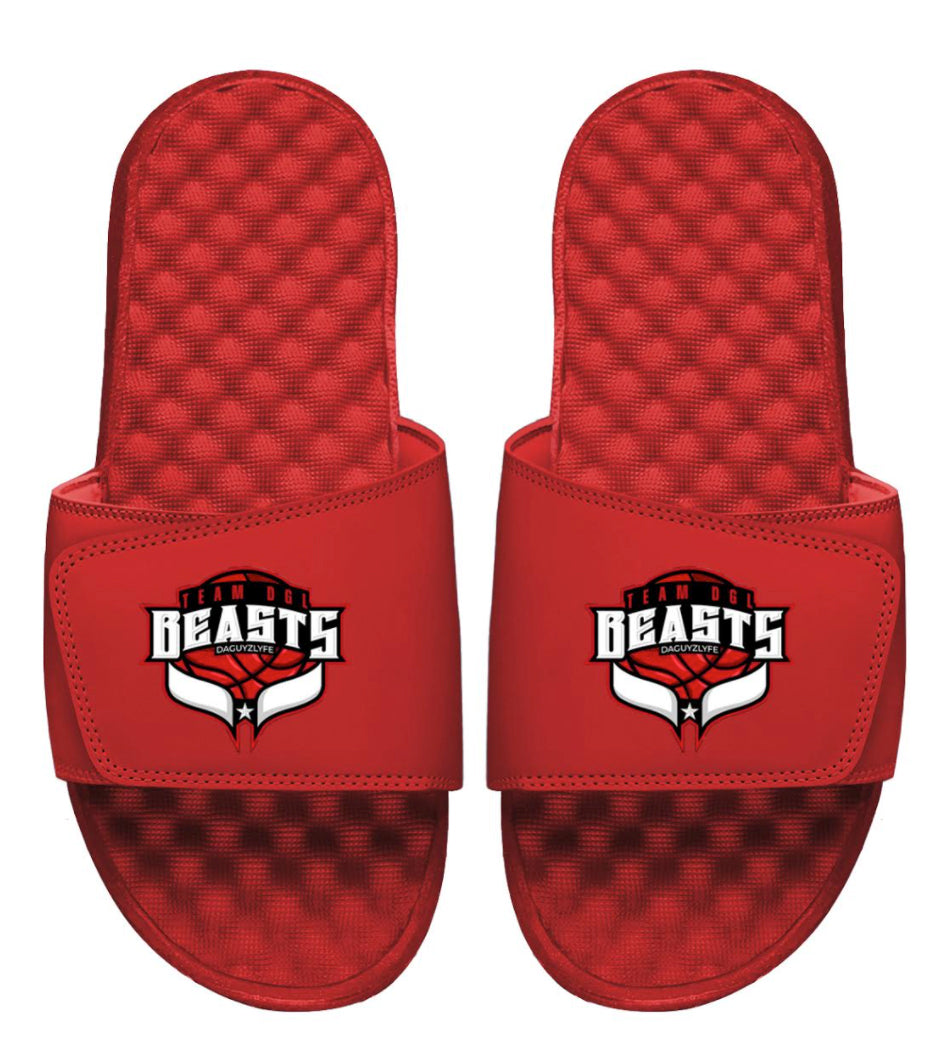 Team DGL Beasts Slides