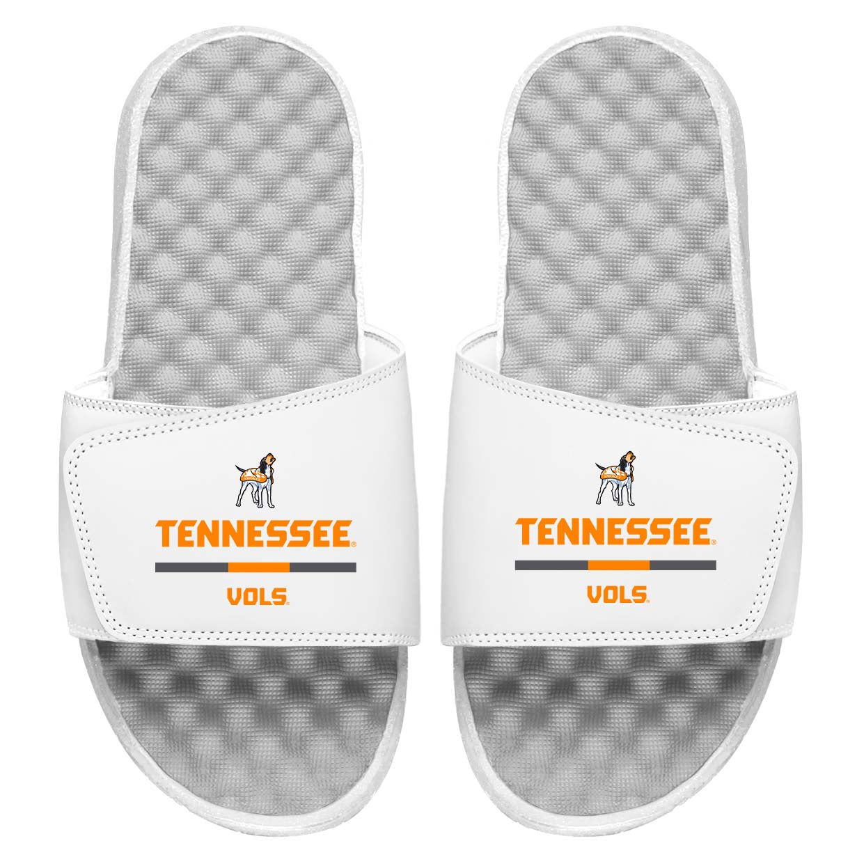 Tennessee Split Bar Slides