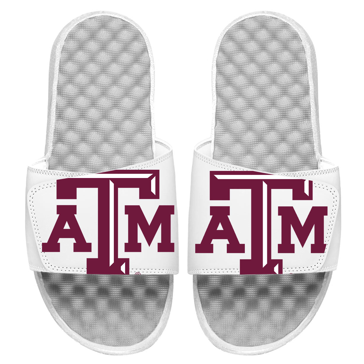Texas A&M Blown Up Logo Slides