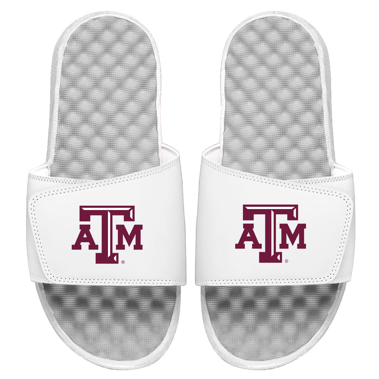 Texas A&M Primary Logo Slides