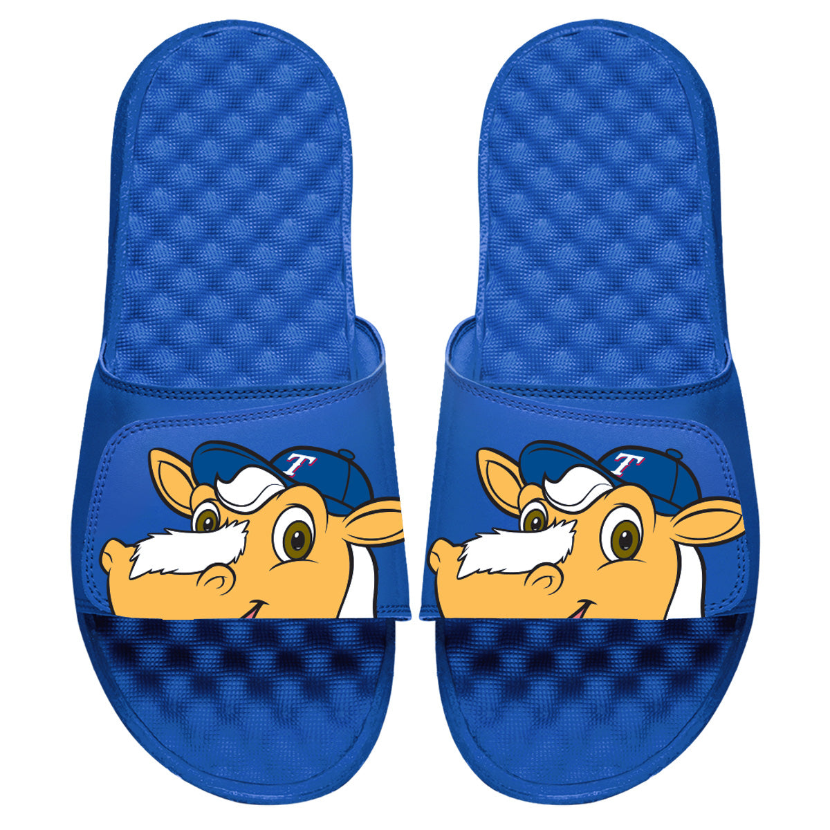 Texas Rangers Mascot Slides
