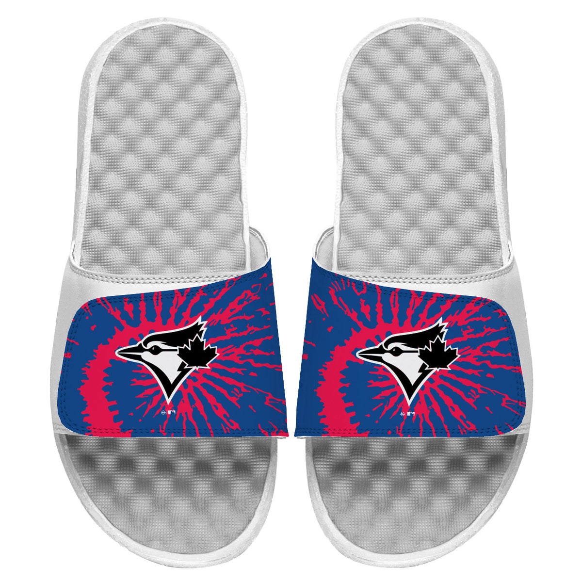 Toronto Blue Jays Slides