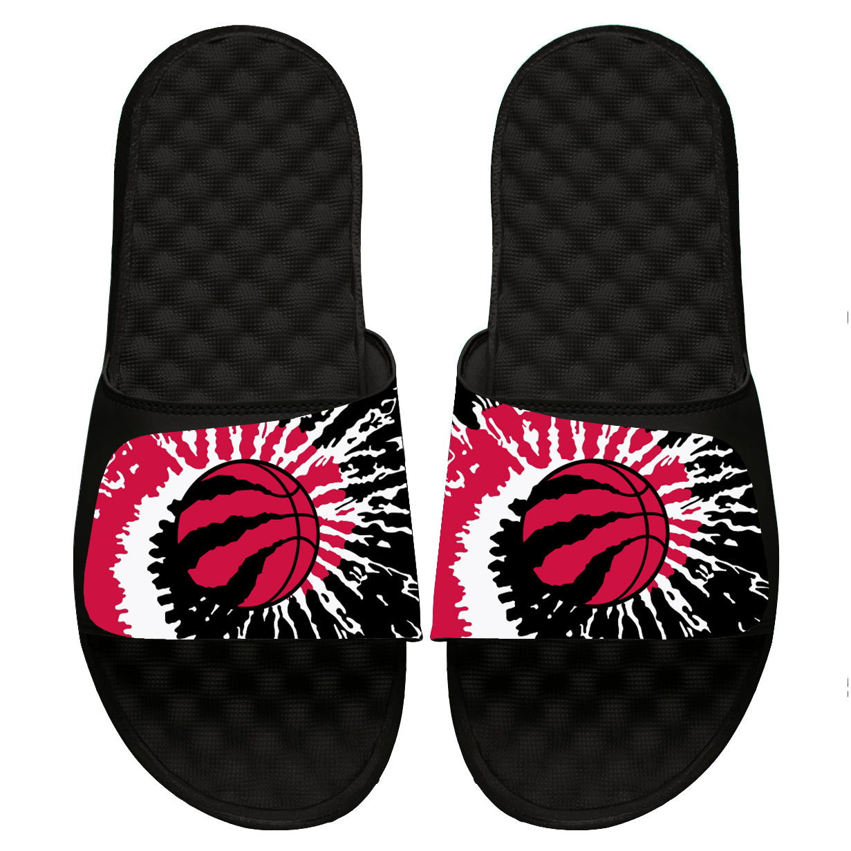 Toronto Raptors Slides
