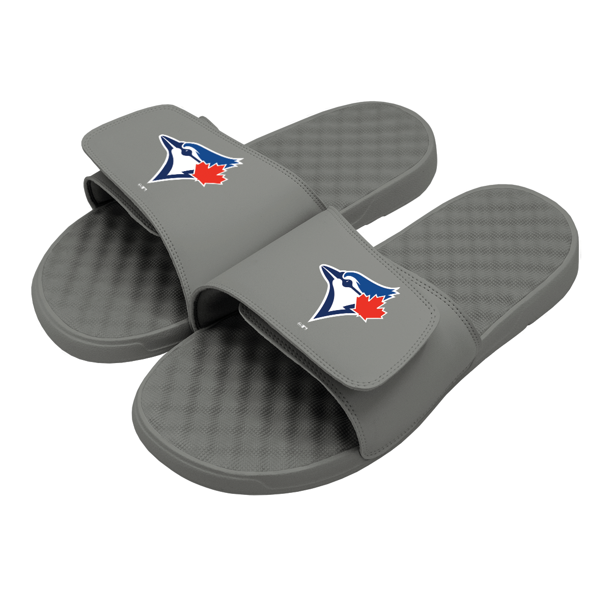 Toronto Blue Jays Alternative Slides