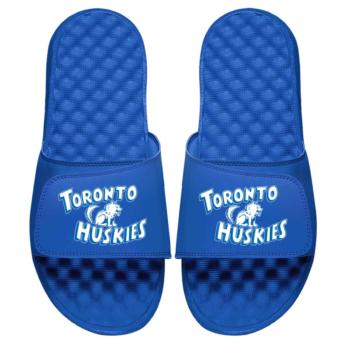 Toronto Huskies HWC Primary Slides