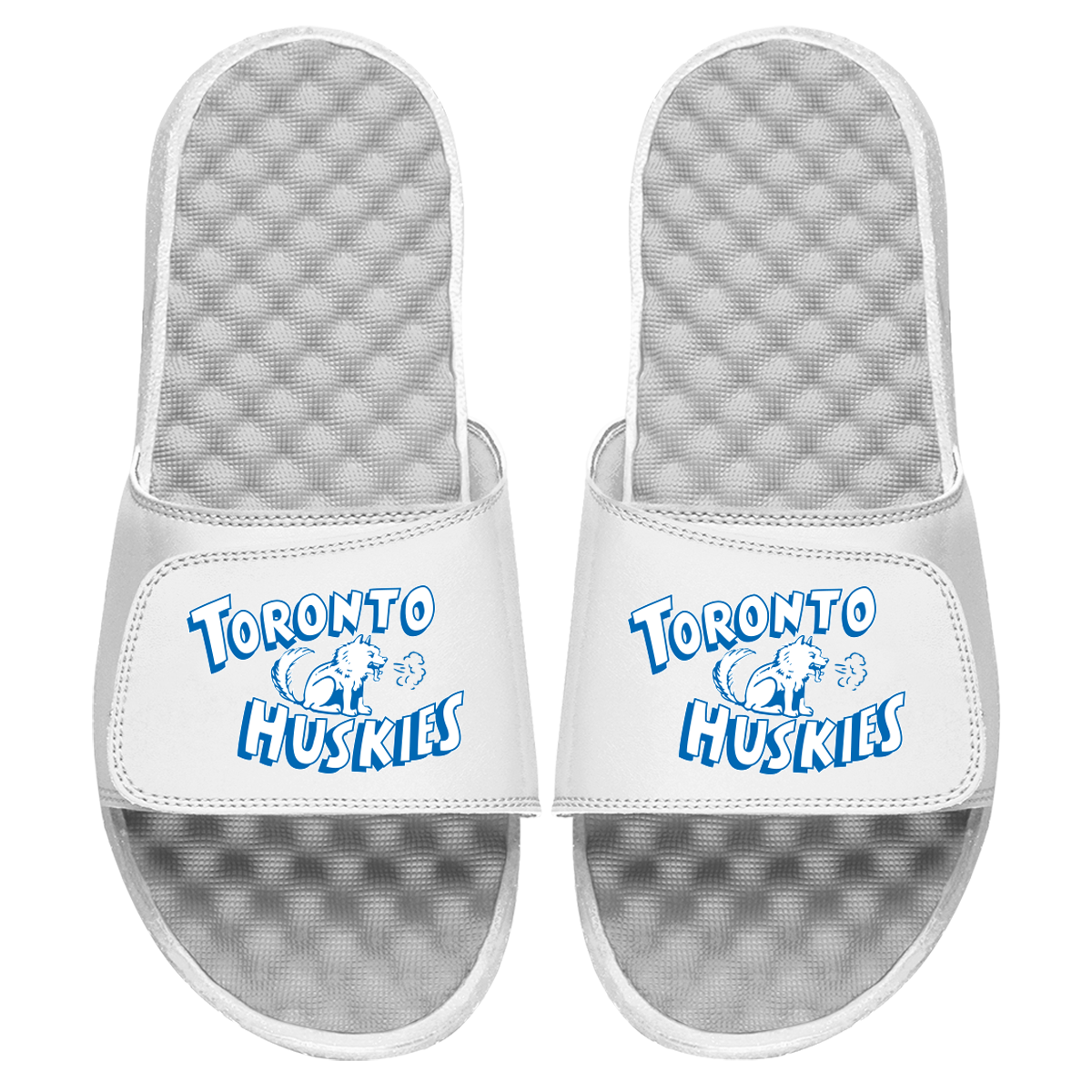 Toronto Huskies HWC Primary Slides