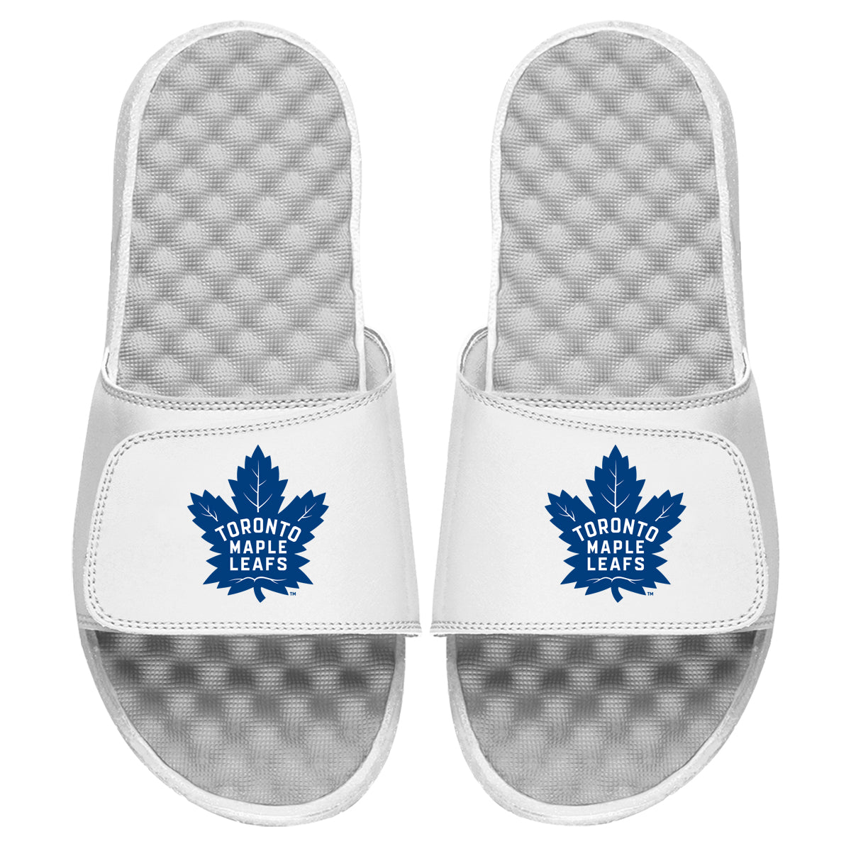 Toronto Maple Leafs Primary Slides