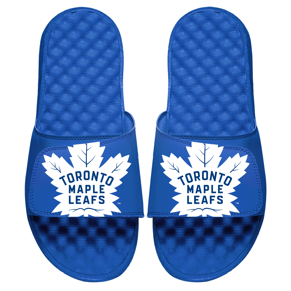 Toronto Maple Leafs Blown Up Slides