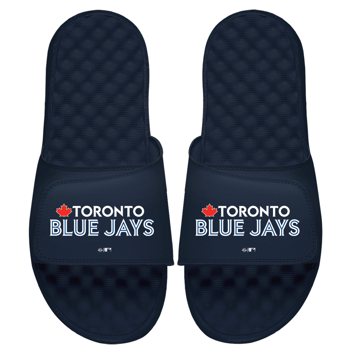 Toronto Blue Jays Wordmark Slides