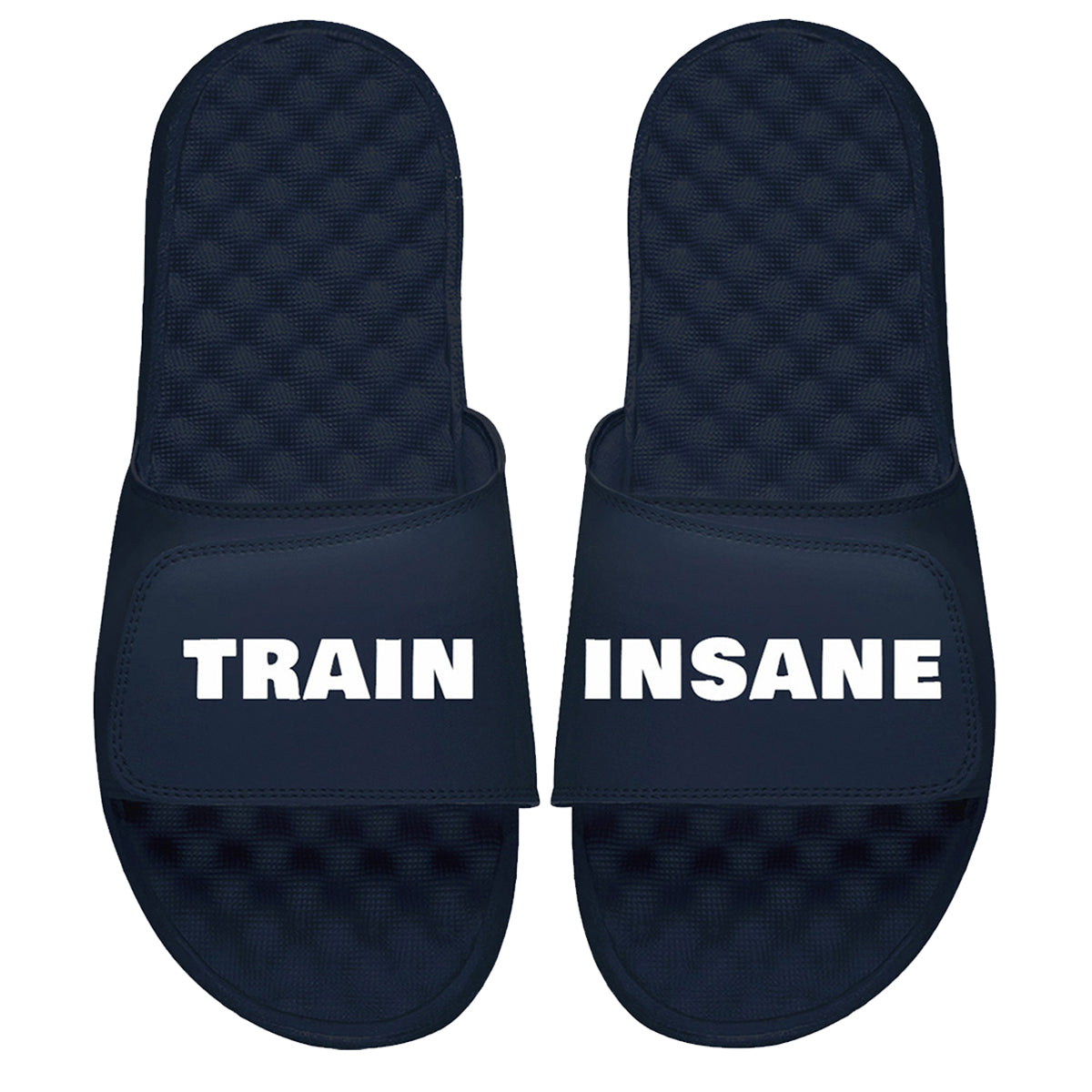 Train Insane Slides
