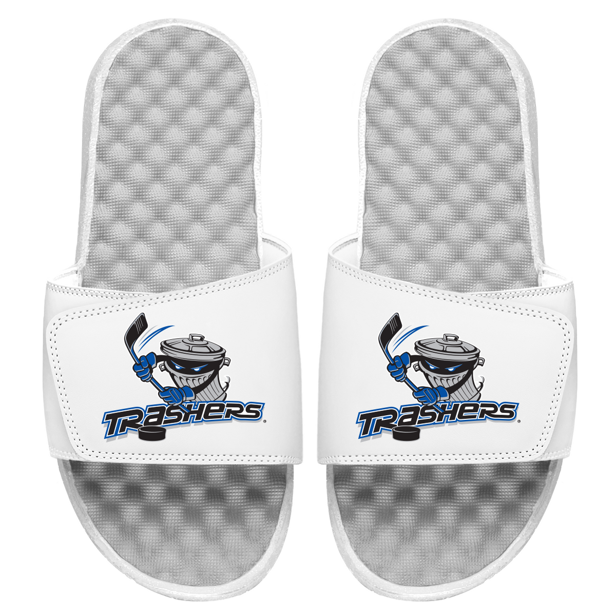 Trashers Primary Slides