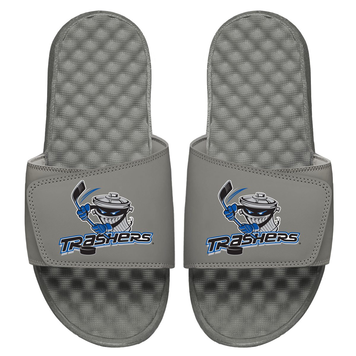 Trashers Primary Slides