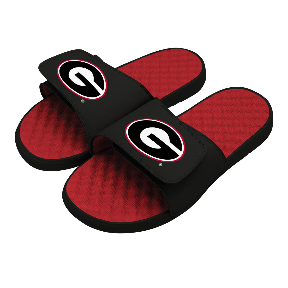 Georgia Primary Slides