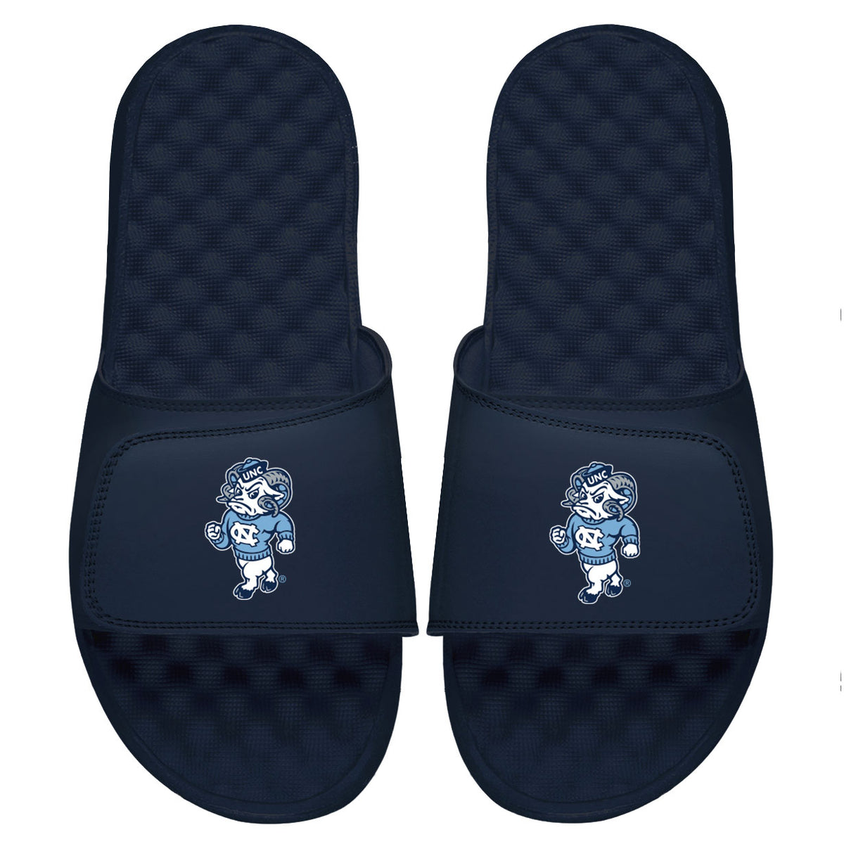 UNC Alternate Mascot Slides