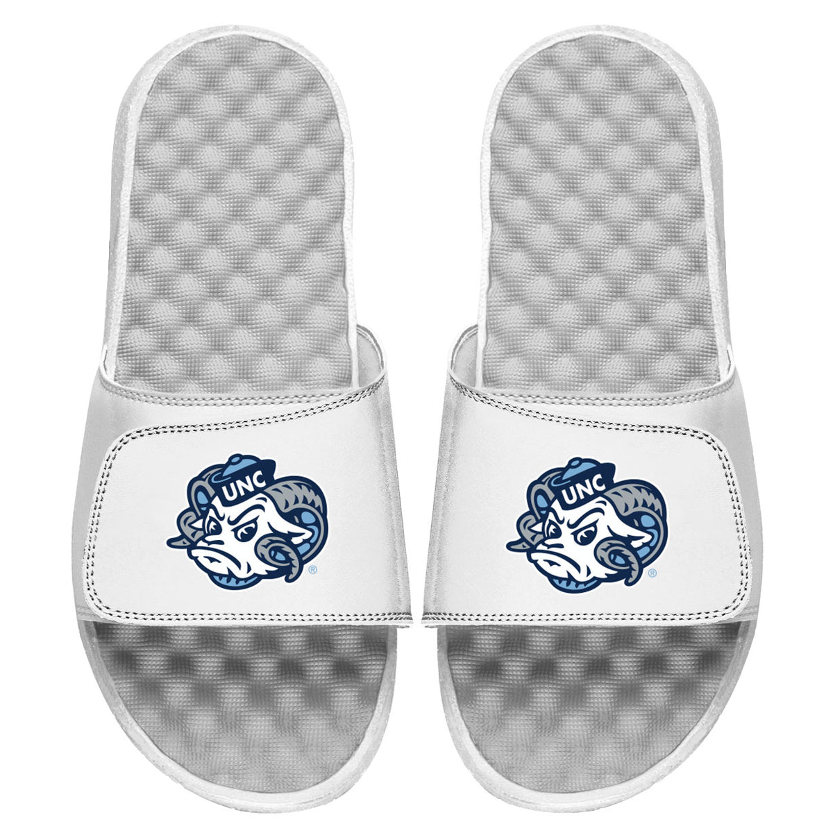 UNC Mascot Slides