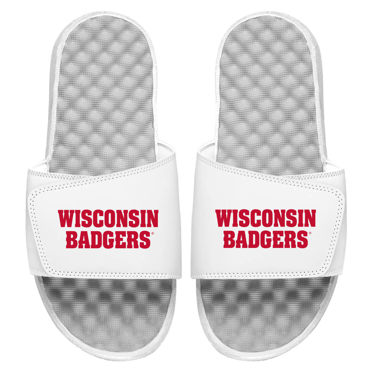 Wisconsin Badgers Wordmark Slides