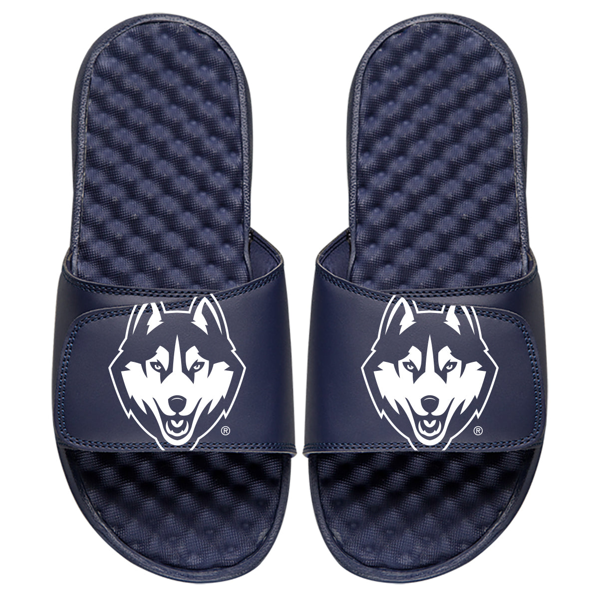 UConn Husky Mono - ISlide