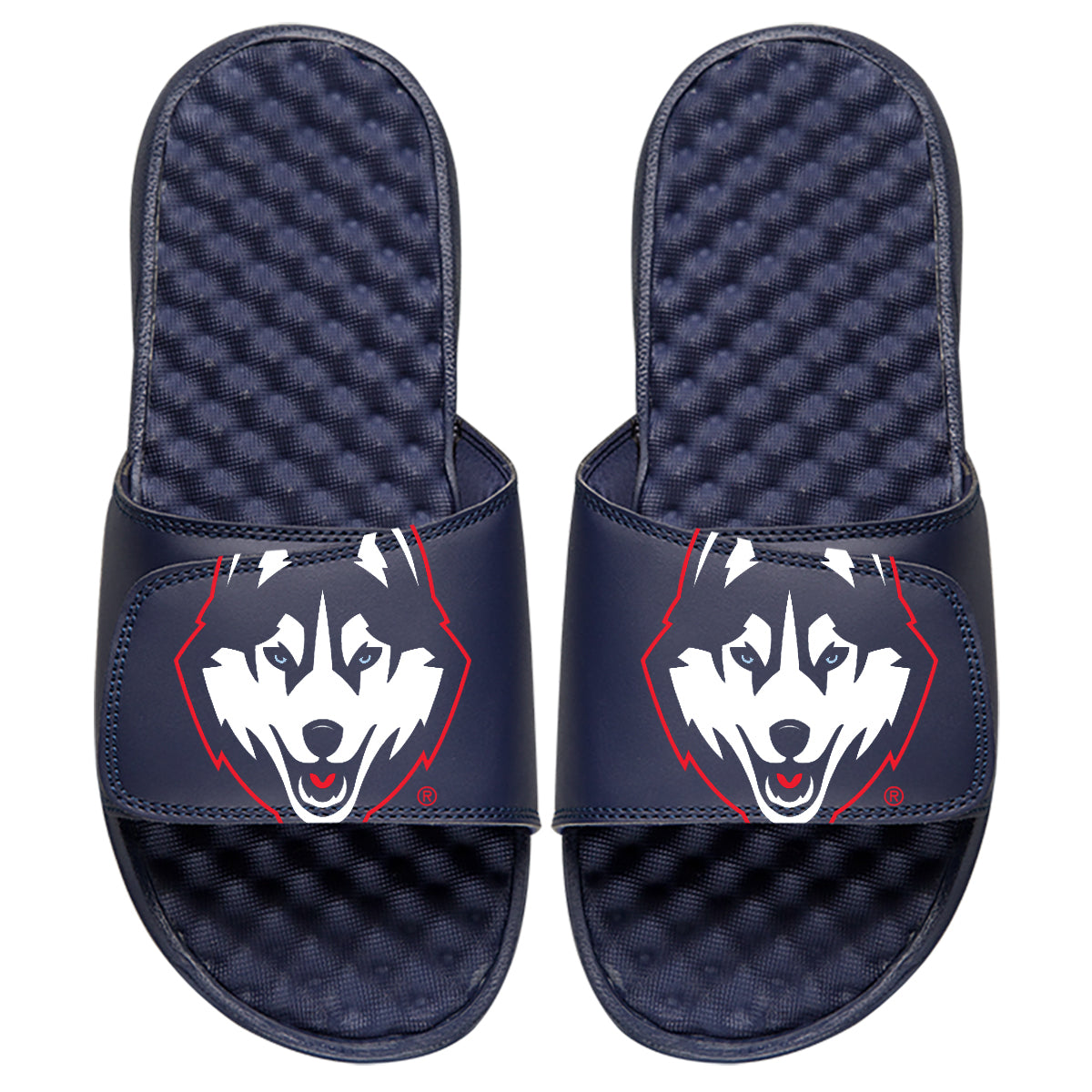 UConn Husky - ISlide